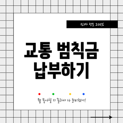 교통 범칙금 납부하기