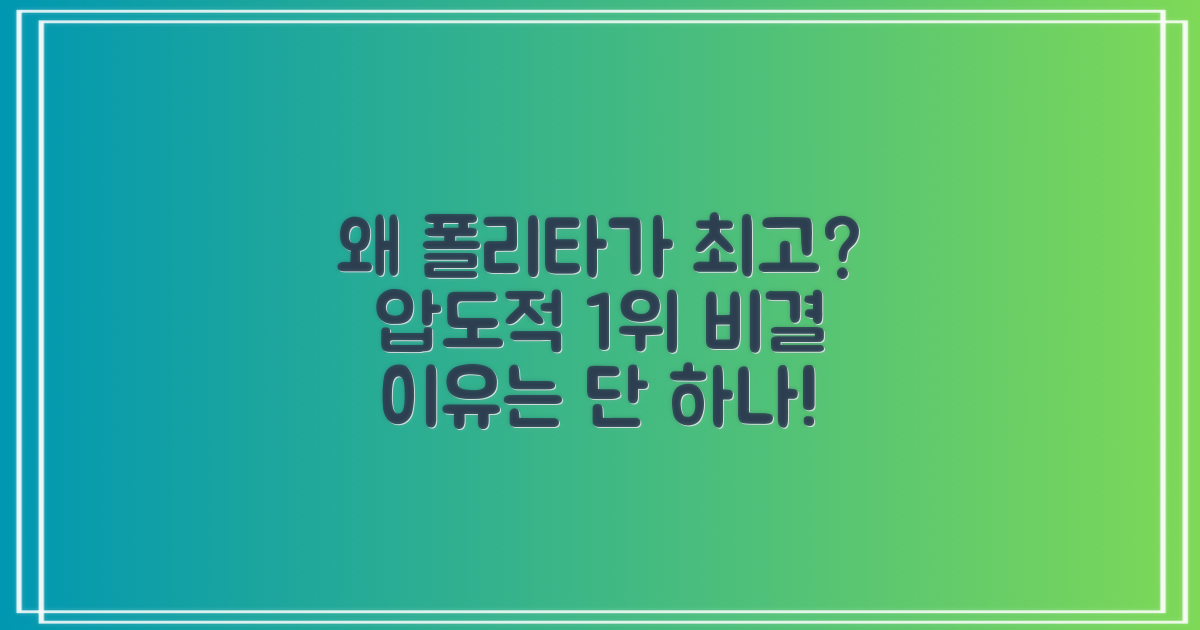 왜 폴리타 콘이 최고일까?
