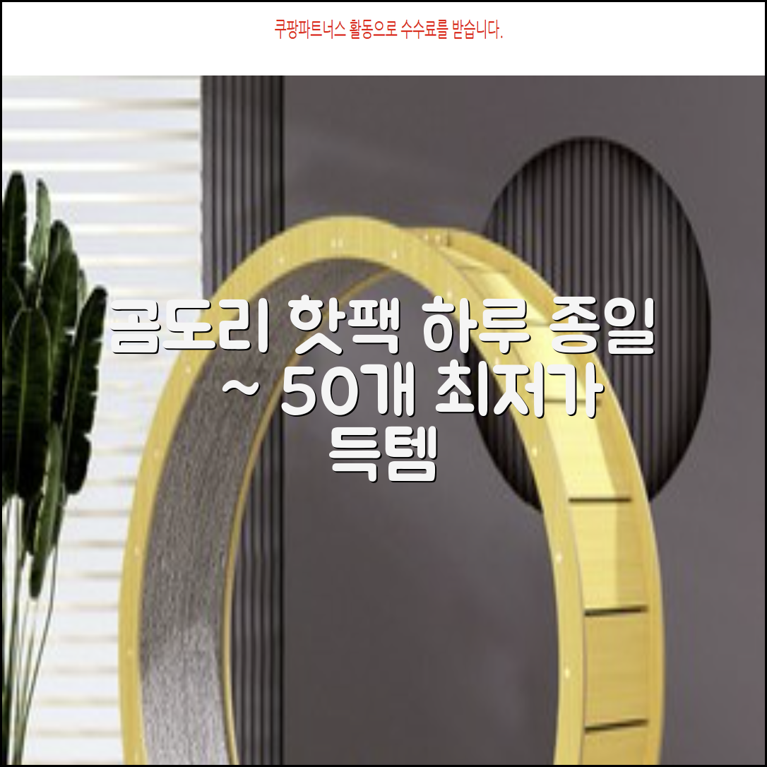 곰도리 하루종일 촥~ 붙이는 핫팩 장시간 고급형, 50개 추천 리뷰