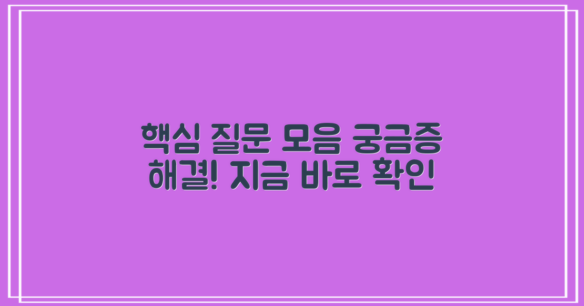 자주 묻는 질문