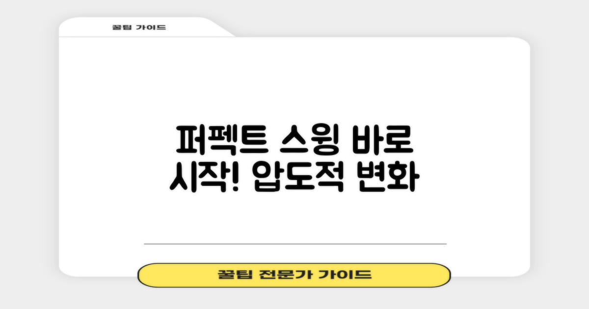퍼펙트 스윙, 바로 시작해요