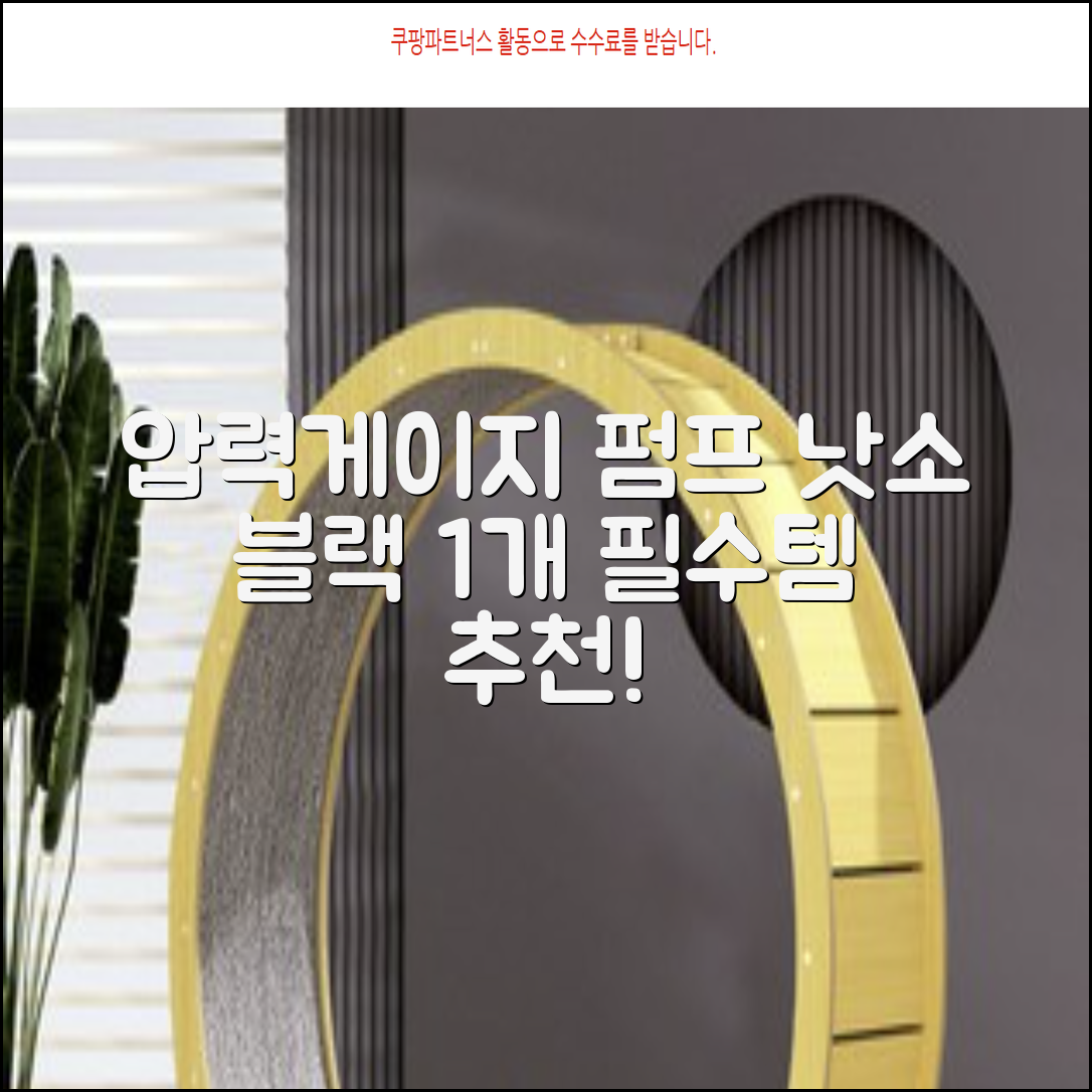 낫소 양방향 압력게이지 펌프, 블랙, 1개 추천 리뷰