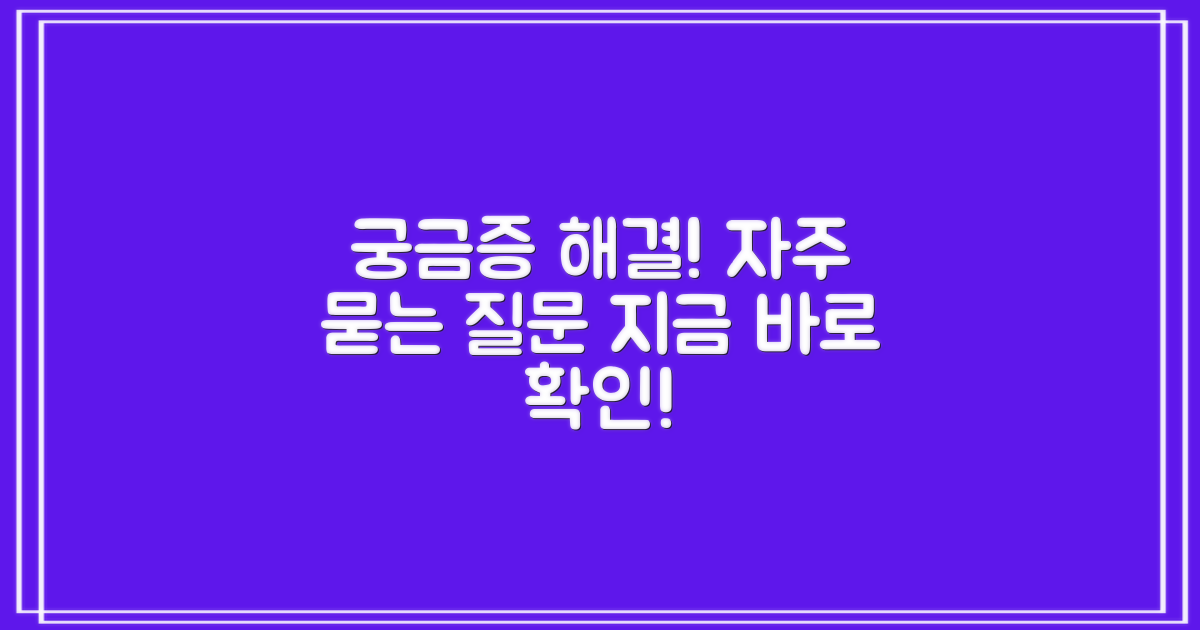 자주 묻는 질문