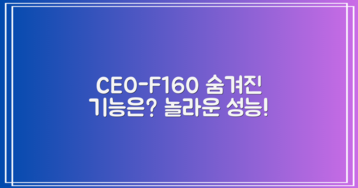 CEO-F160, 어떤 기능이?