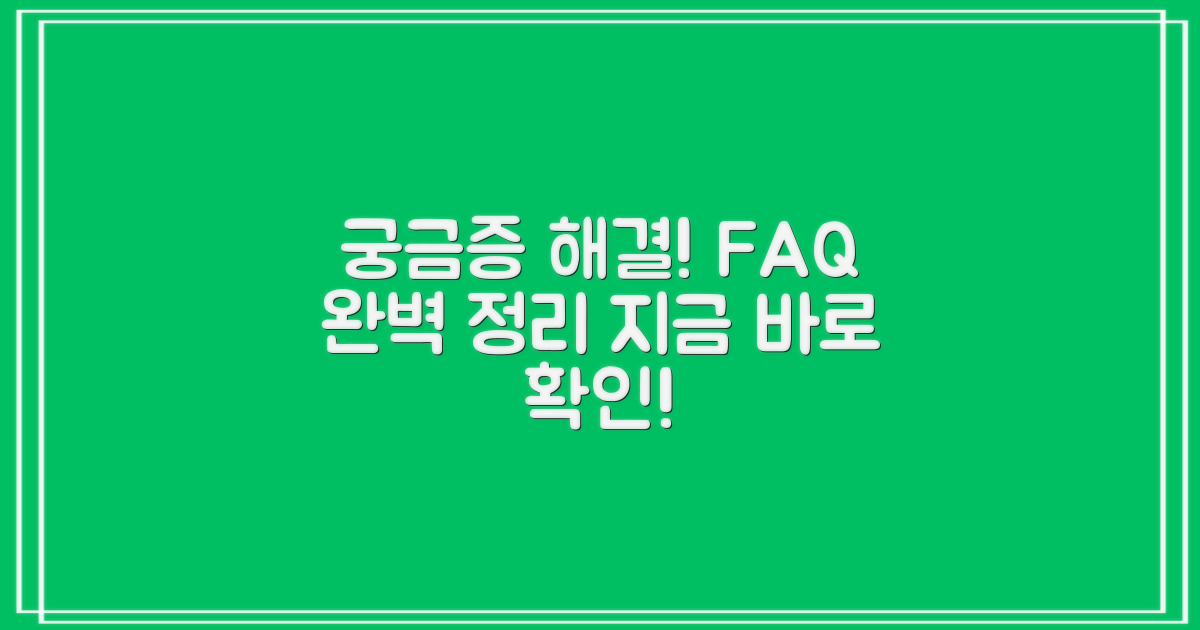 자주 묻는 질문